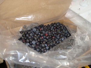 Yummy Fresh Blueberries