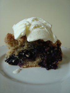 Blueberry Crumb Cake
